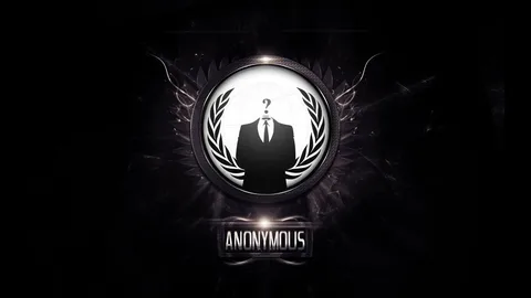 Exploring Anonymous Hosting: A Secure and Private Solution for Online Freedom