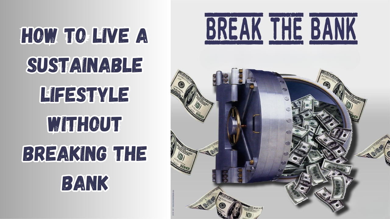 How to Live a Sustainable Lifestyle without Breaking the Bank: